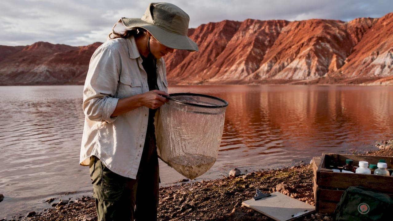 Why Wild-Harvested Brine Shrimp Are Unsustainable