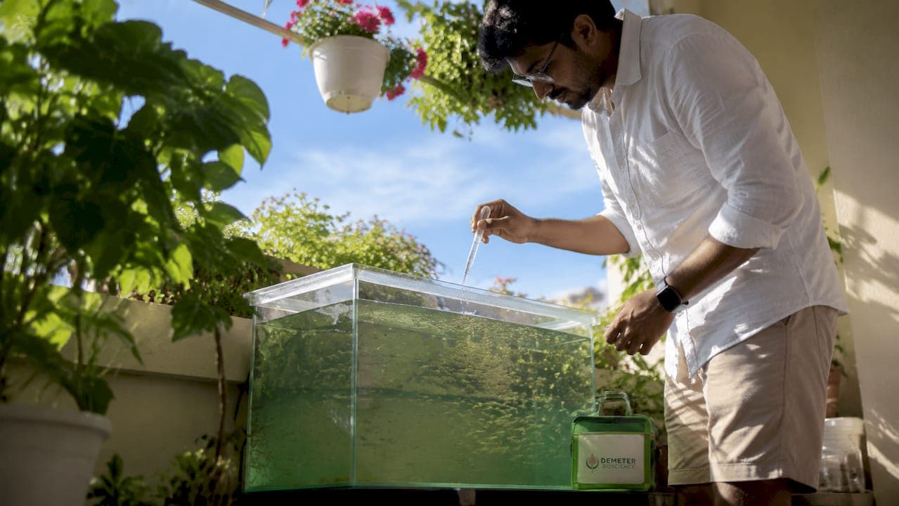 Best Live Foods for Baby Fish Fry: Stage-by-Stage Guide