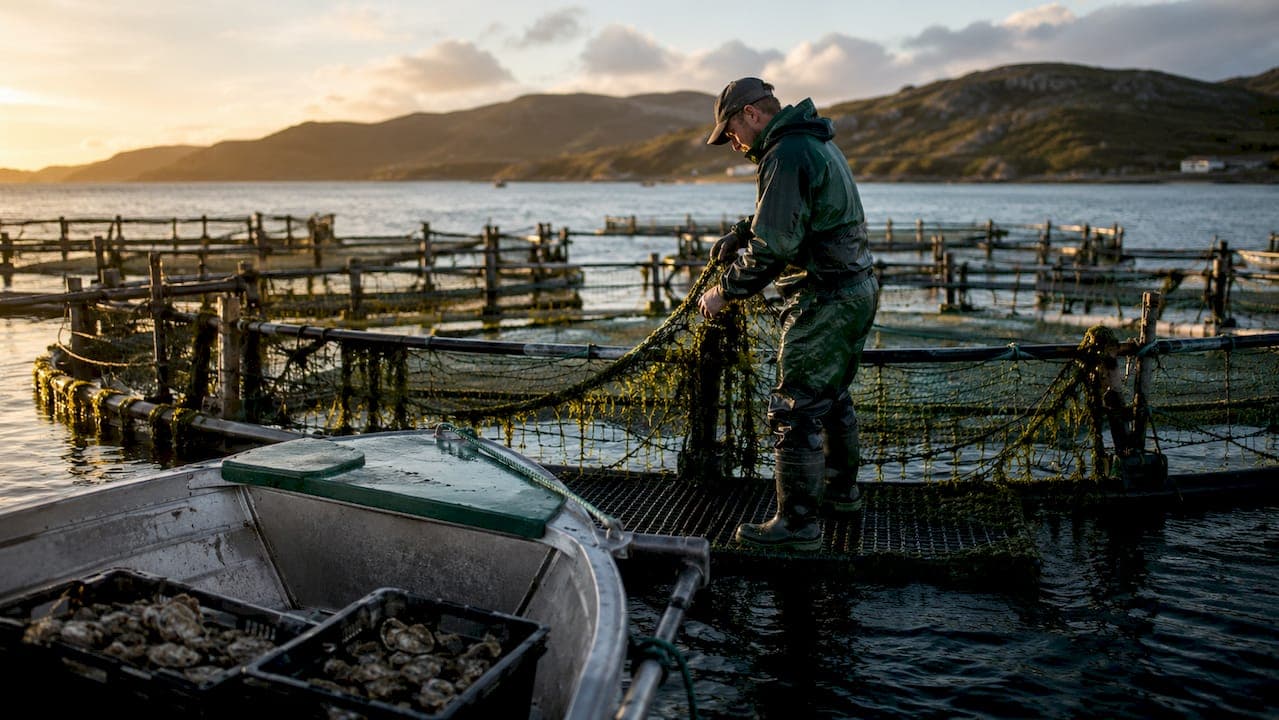 Why Sustainable Aquaculture Benefits Local Retailers