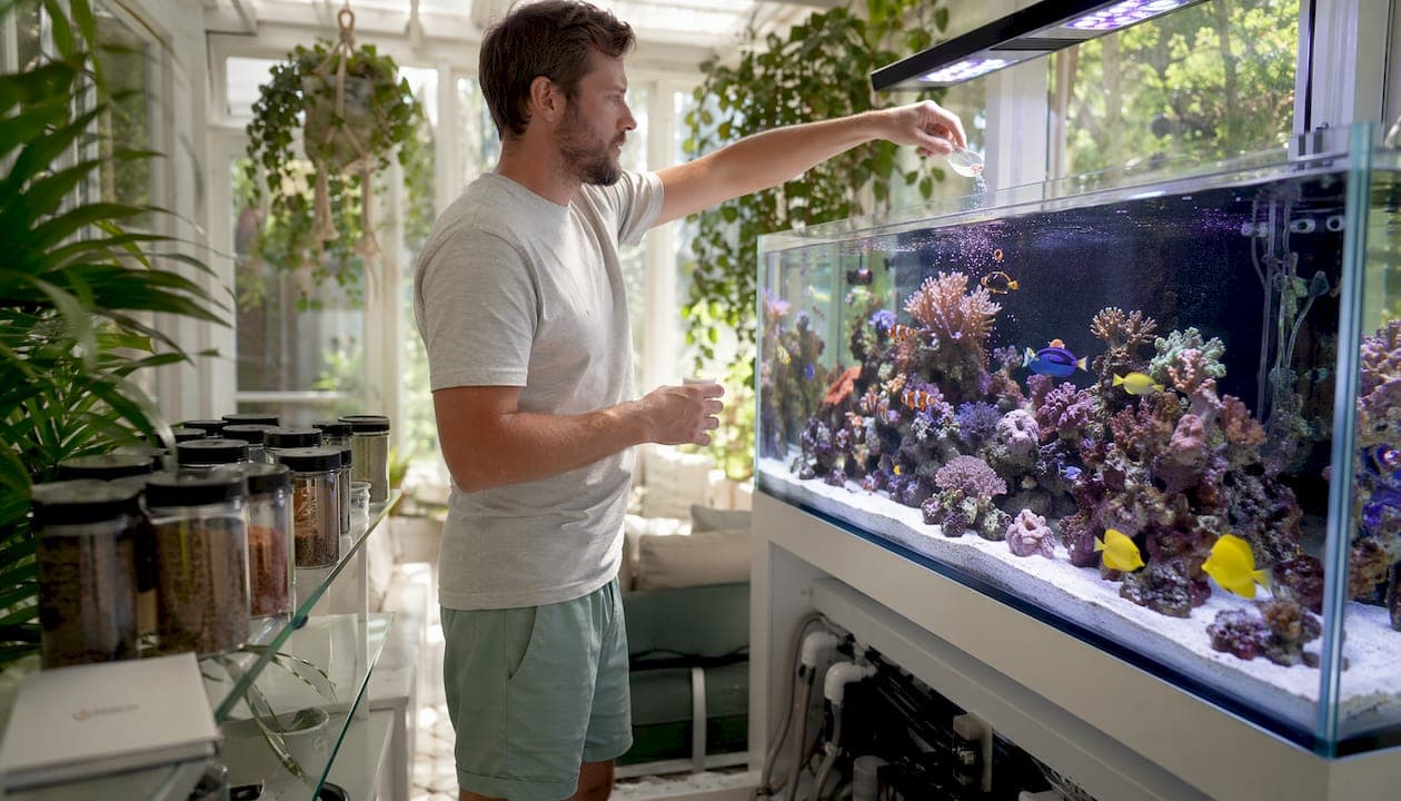 Saltwater Fish Diet Variety List for Thriving Marine Tanks