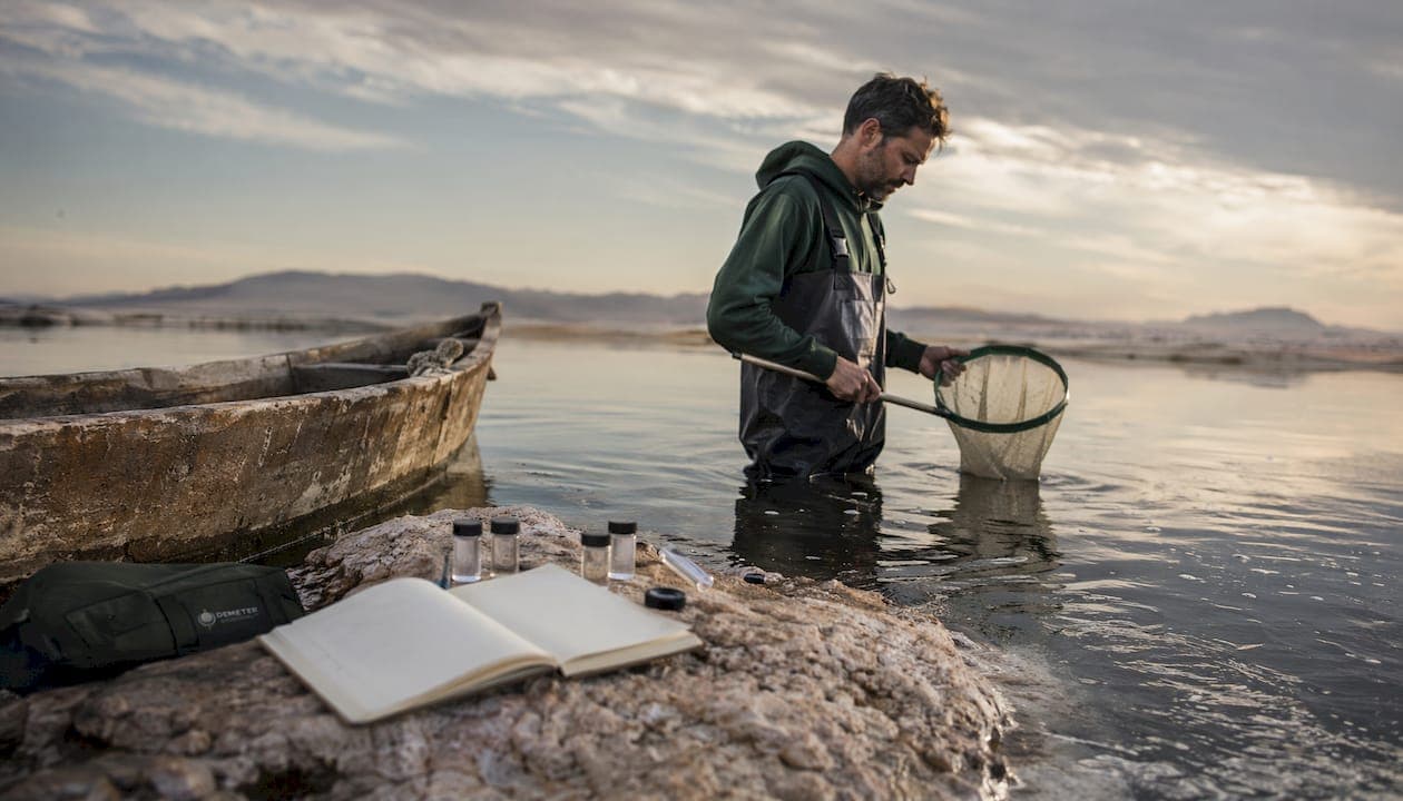 What Causes Seasonal Brine Shrimp Variability in Aquatic Ecosystems
