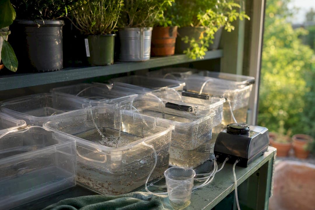 Practical Quarantine Live Food Protocol for Hobbyists