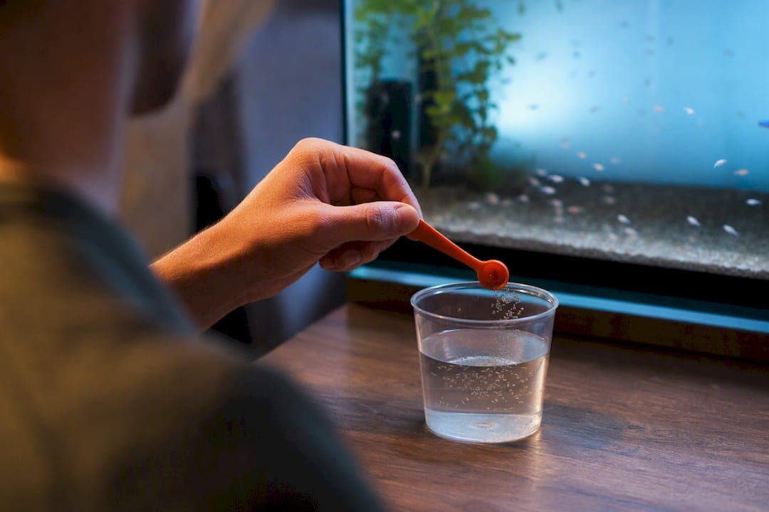$12–$40 Per Shipment: Brine Shrimp Subscription Cost Per Feeding