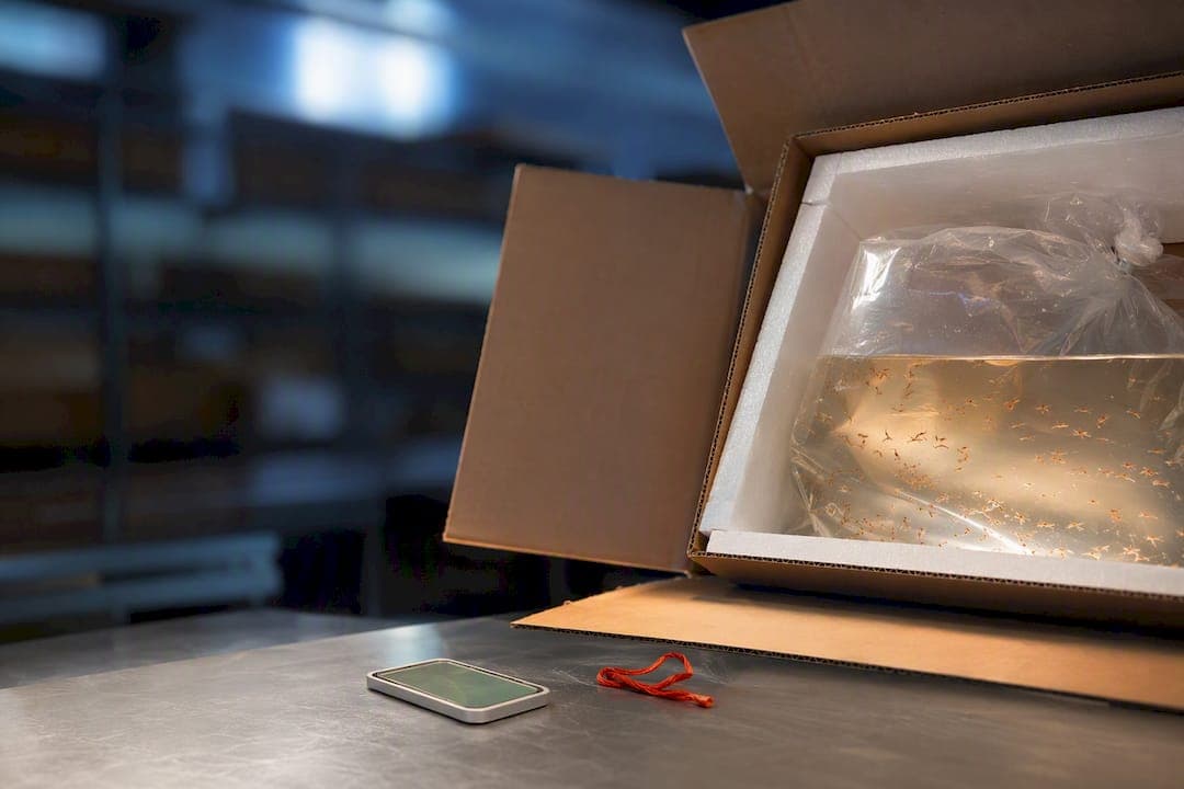 Buyers: Get Brine Shrimp Alive Overnight, Order Monday or Tuesday